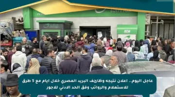 عاجل اليوم.. إعلان نتيجة وظائف البريد المصري خلال أيام مع 5 طرق للاستعلام والرواتب وفق الحد الأدنى للأجور